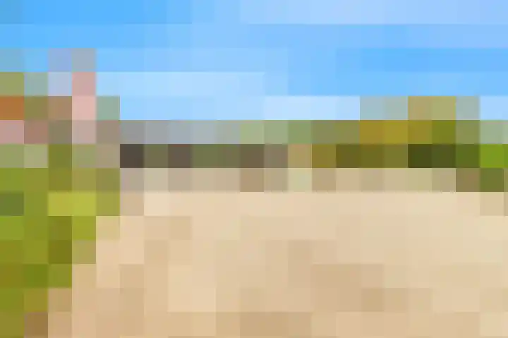 De Sanderij 106 Schoorl thumbnail 37