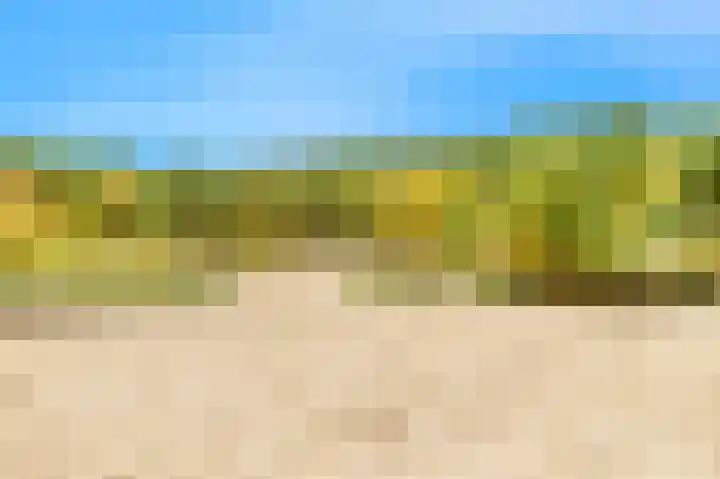 De Sanderij 106 Schoorl thumbnail 38