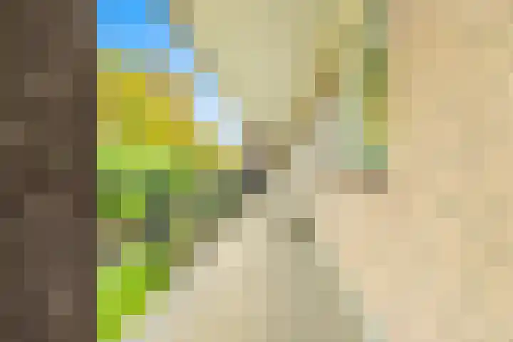 De Sanderij 106 Schoorl thumbnail 39