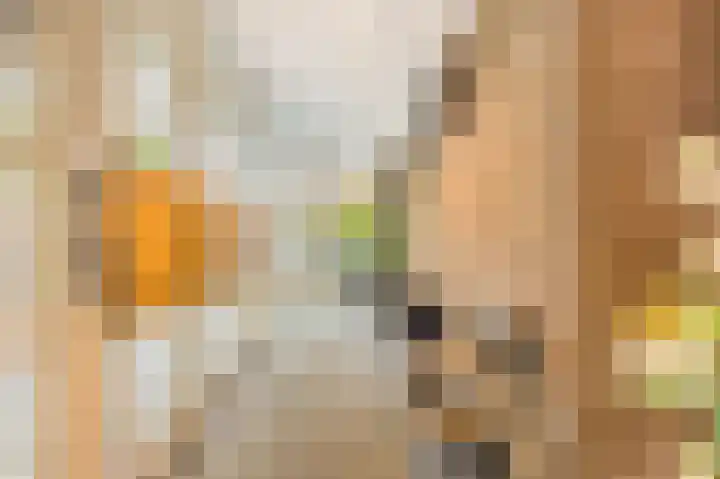 De Sanderij 106 Schoorl thumbnail 41