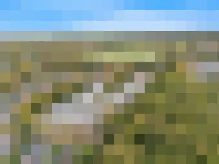 De Sanderij 106 Schoorl thumbnail 43