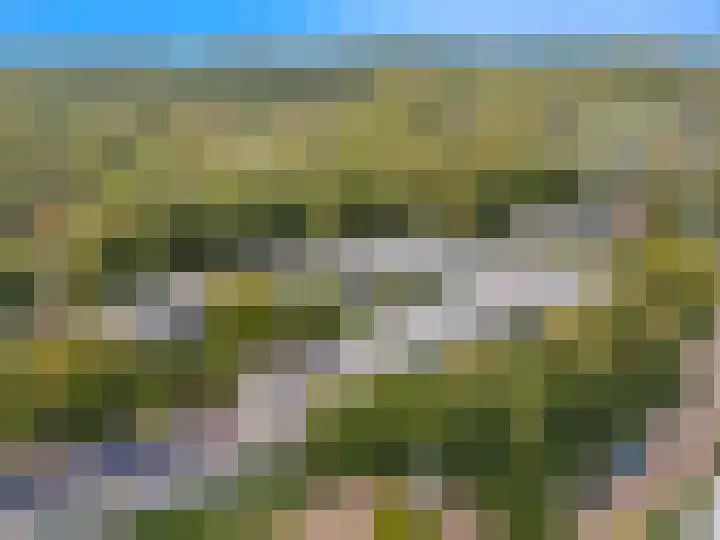 De Sanderij 106 Schoorl thumbnail 44