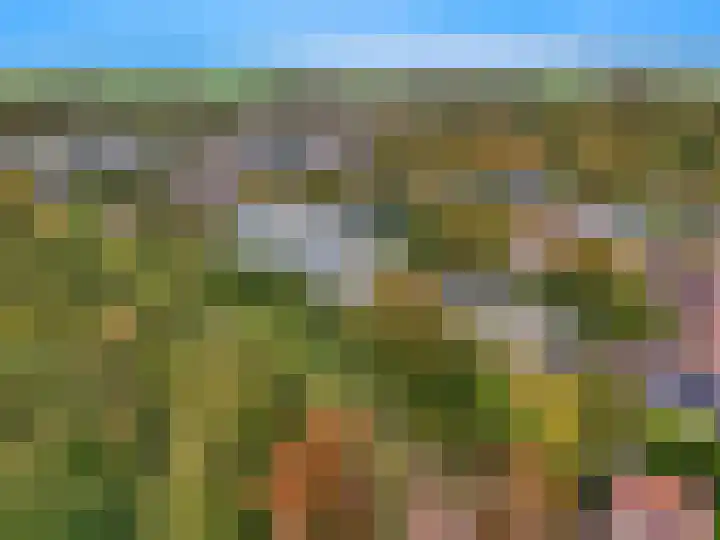 De Sanderij 106 Schoorl thumbnail 45