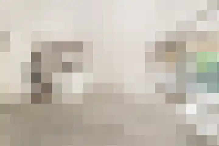 De Sanderij 106 Schoorl thumbnail 6