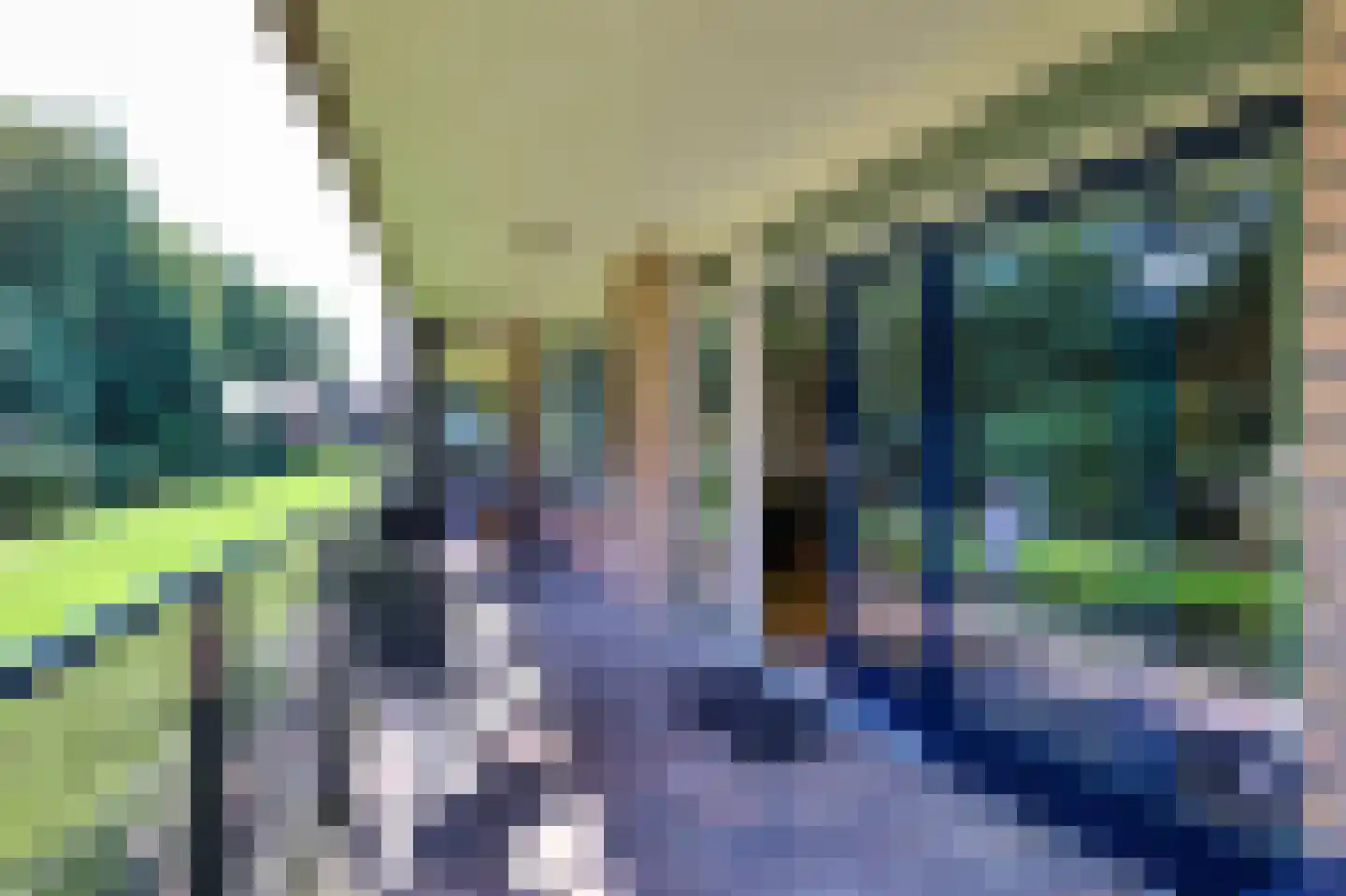 De Sanderij 11 Schoorl thumbnail 12