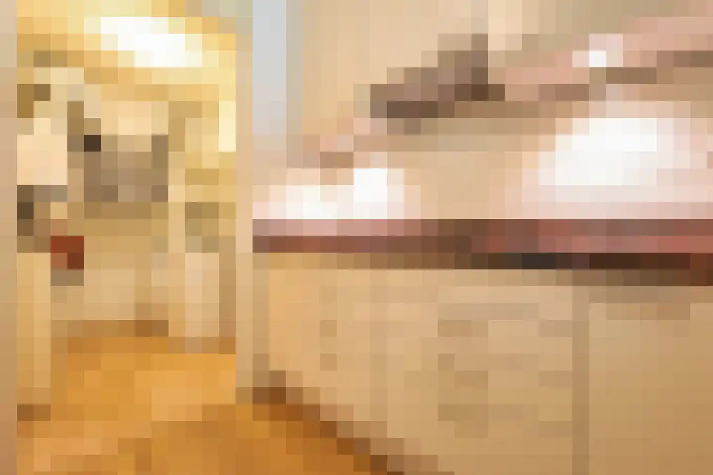 De Sanderij 11 Schoorl thumbnail 16