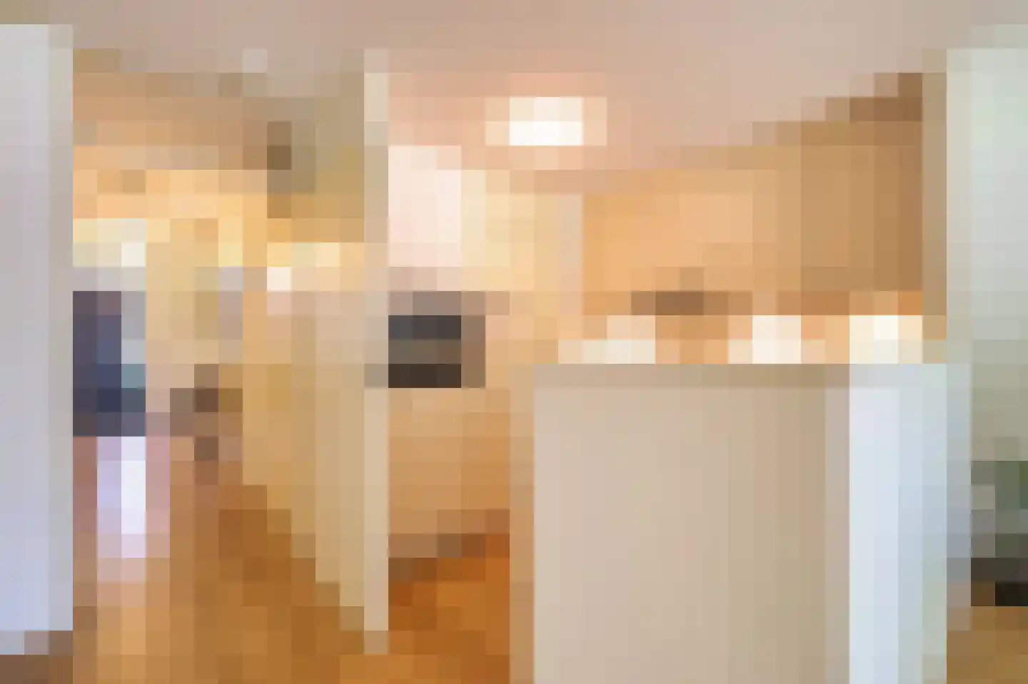 De Sanderij 11 Schoorl thumbnail 18