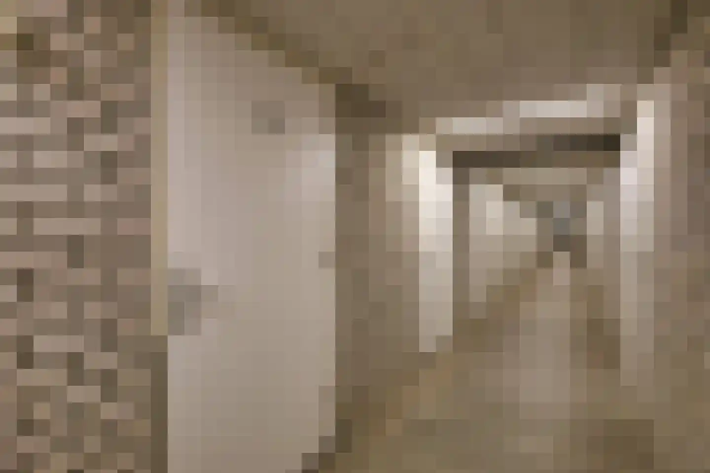 De Sanderij 11 Schoorl thumbnail 29