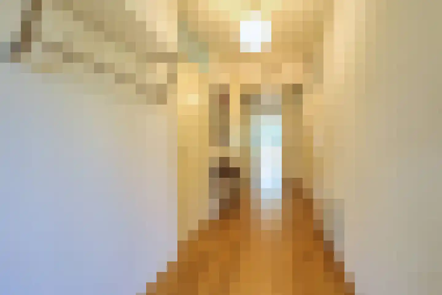 De Sanderij 11 Schoorl thumbnail 6