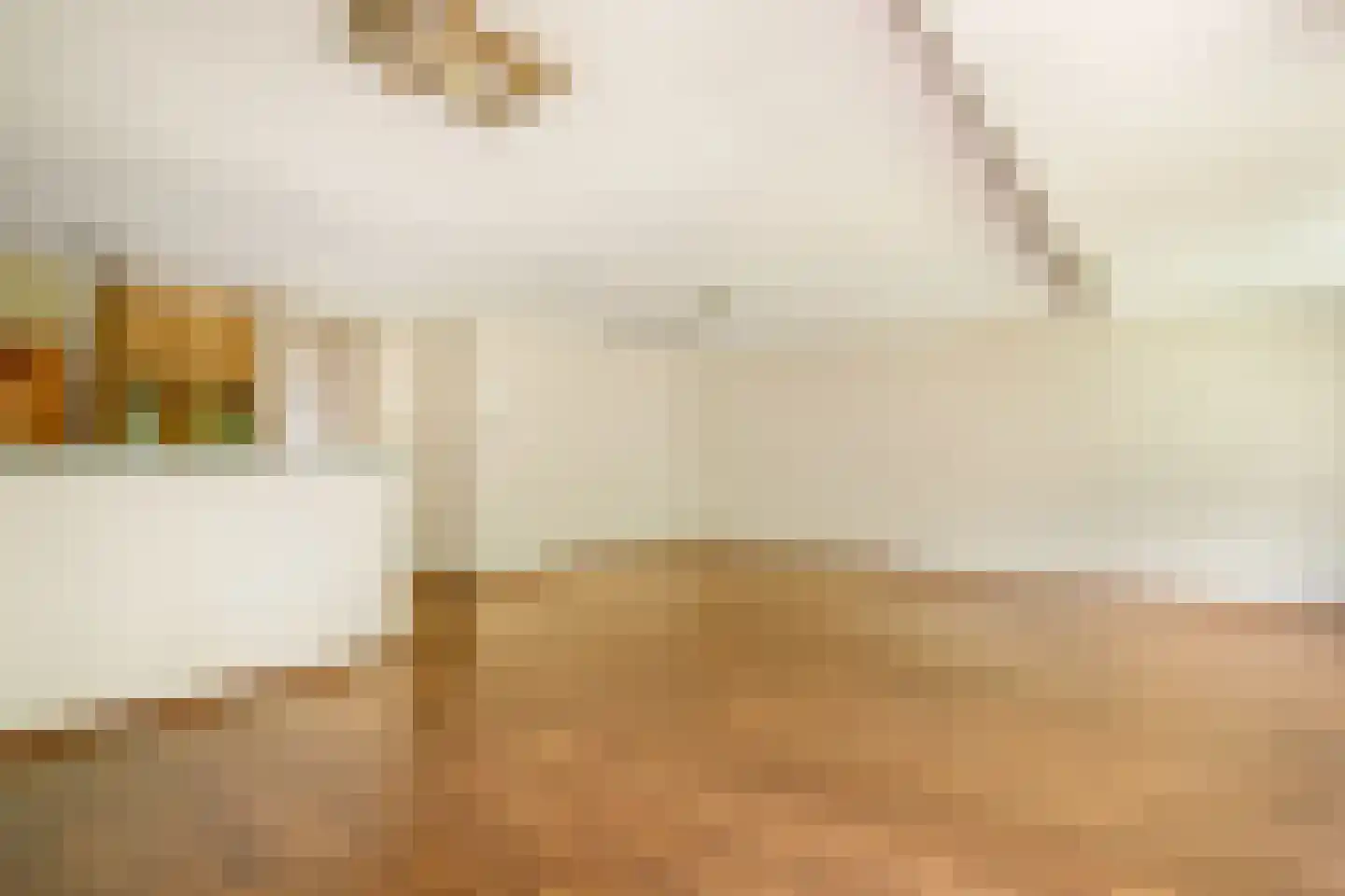 De Sanderij 114 Schoorl thumbnail 12