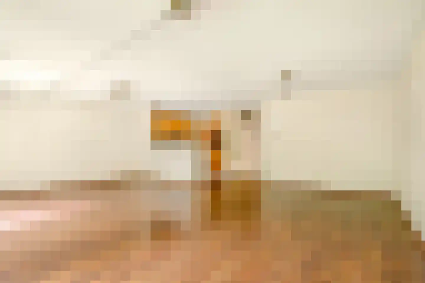 De Sanderij 114 Schoorl thumbnail 16