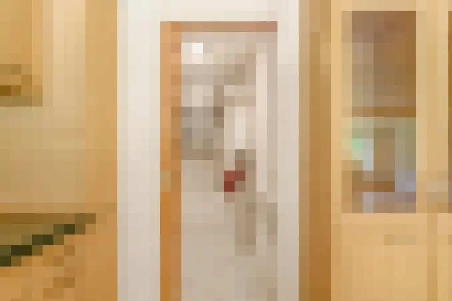 De Sanderij 114 Schoorl thumbnail 21