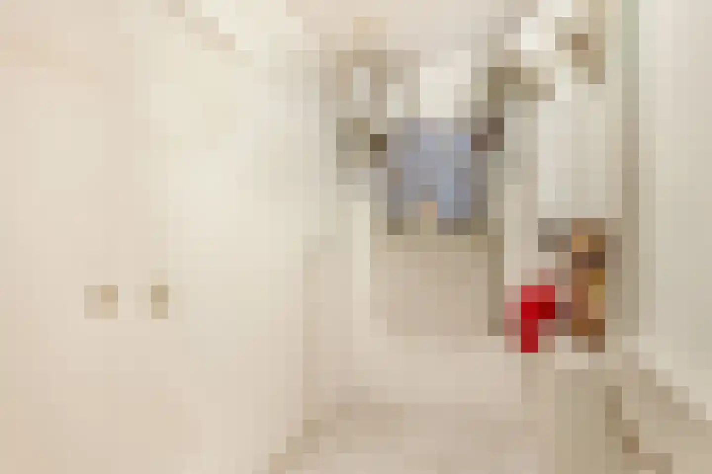 De Sanderij 114 Schoorl thumbnail 22