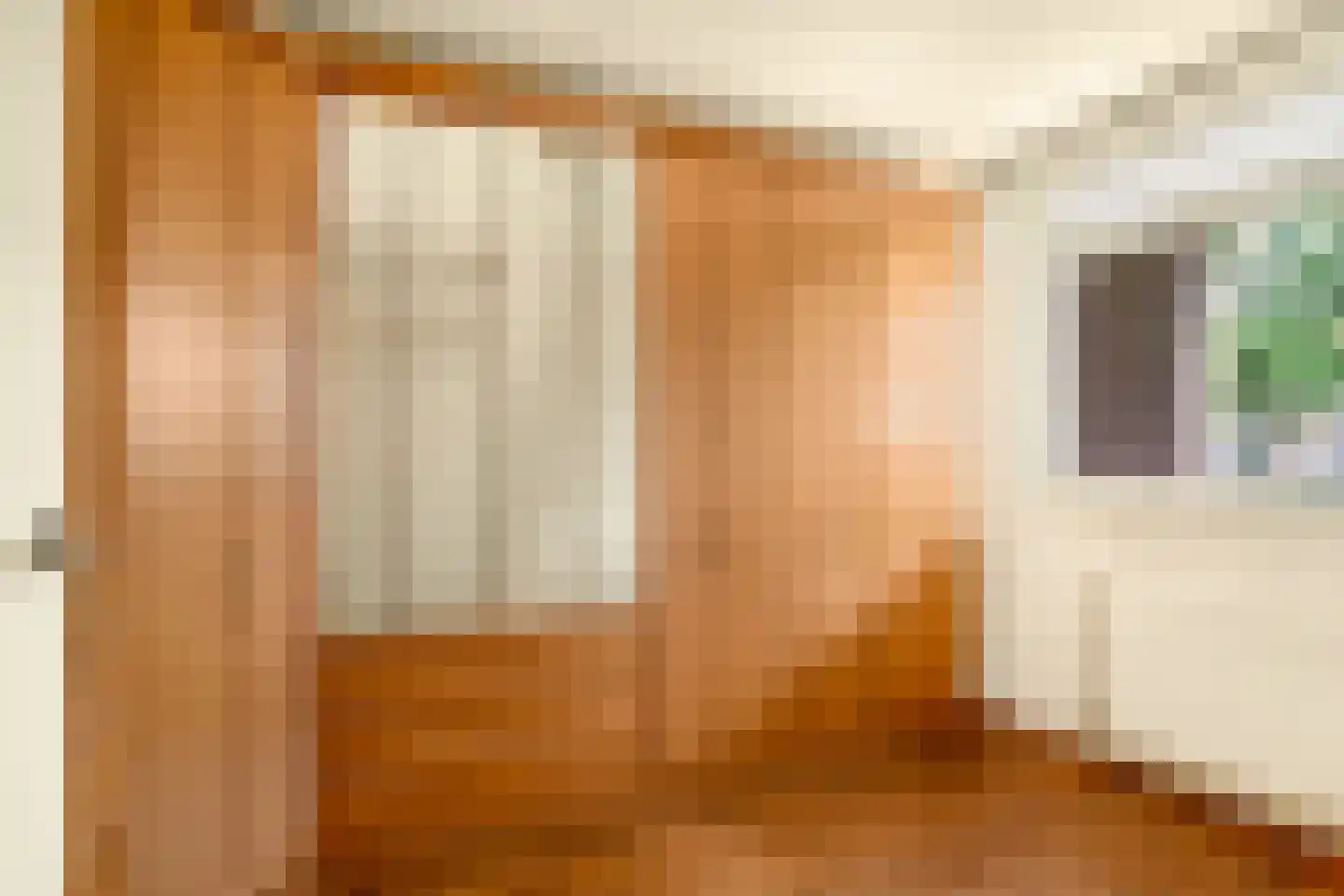 De Sanderij 114 Schoorl thumbnail 23