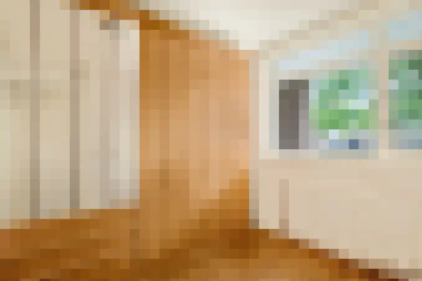 De Sanderij 114 Schoorl thumbnail 26