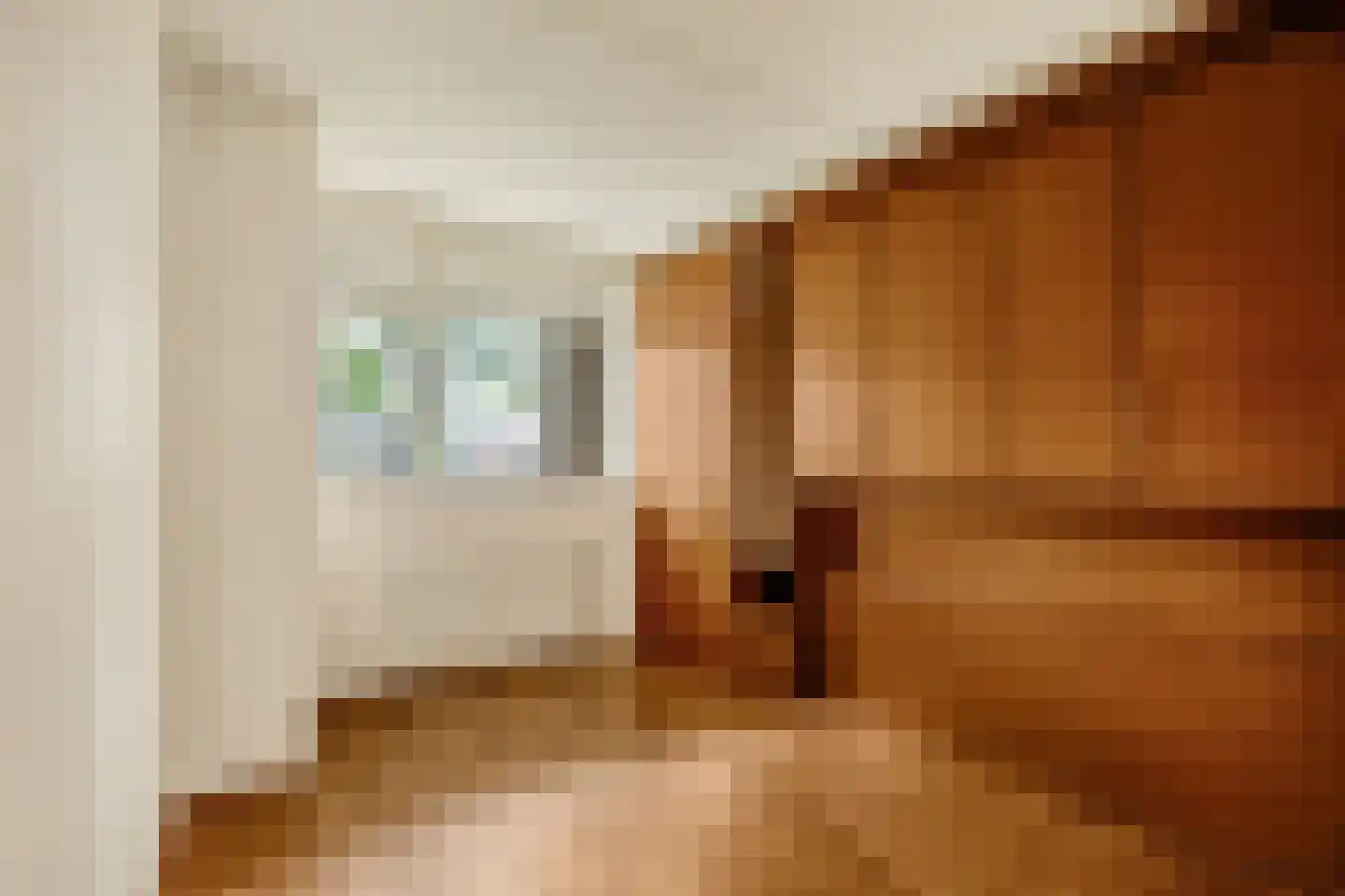 De Sanderij 114 Schoorl thumbnail 29
