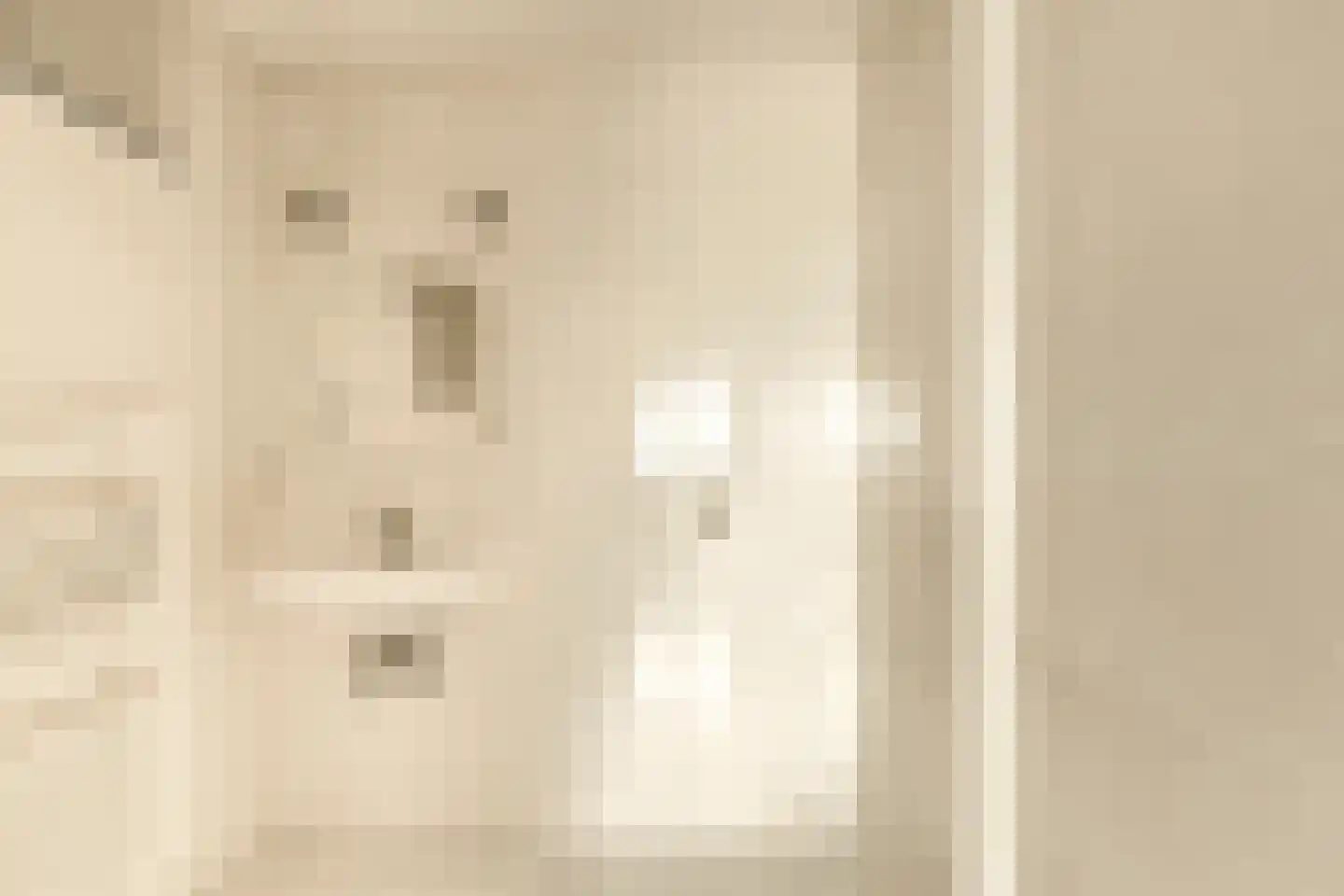 De Sanderij 114 Schoorl thumbnail 32