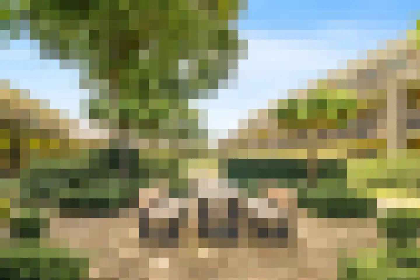 De Sanderij 114 Schoorl thumbnail 38