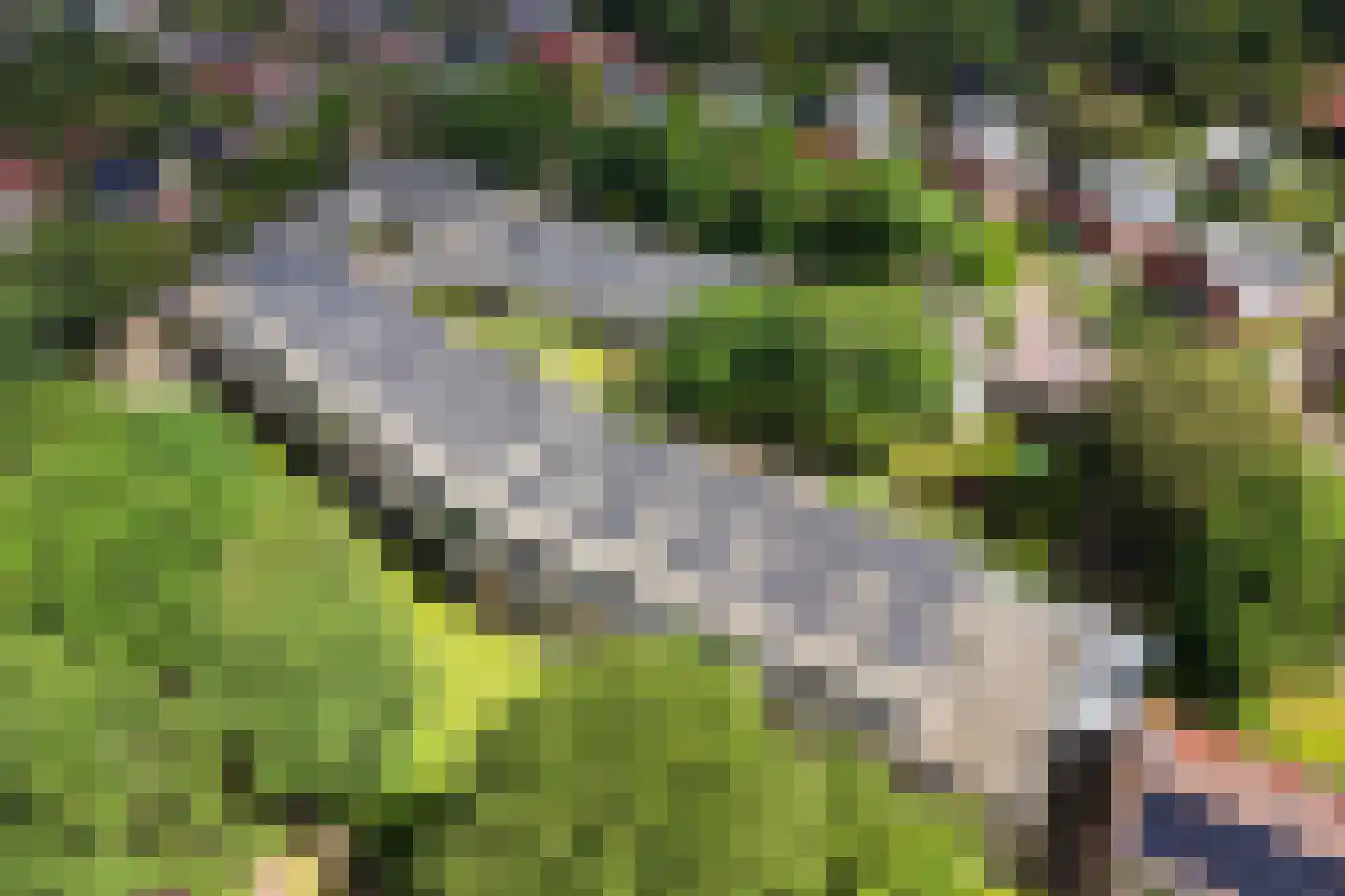 De Sanderij 114 Schoorl thumbnail 39