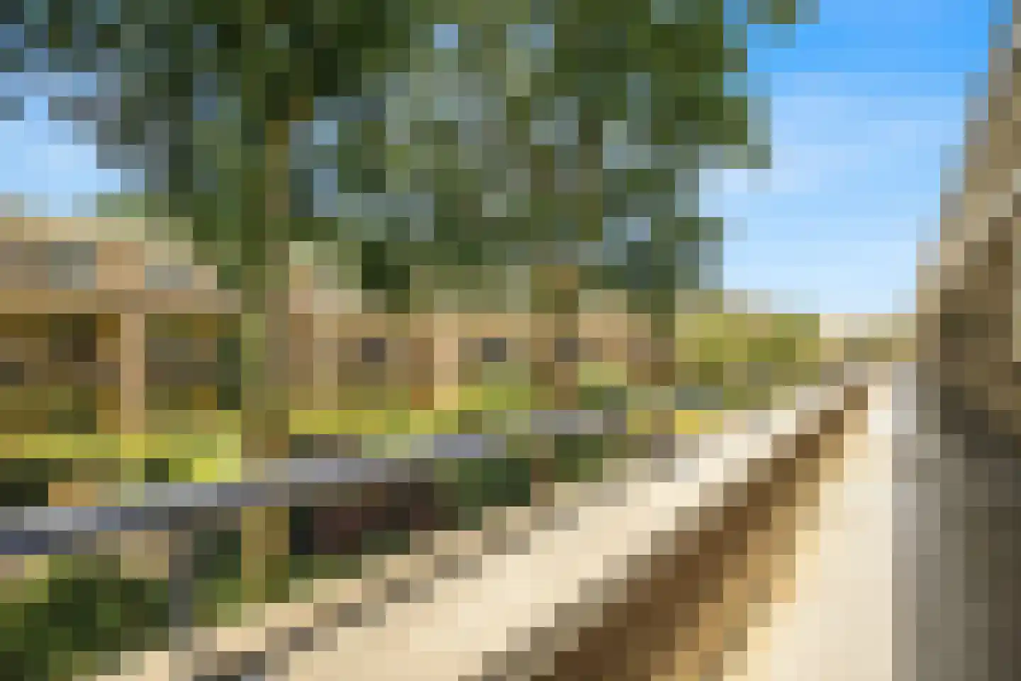 De Sanderij 114 Schoorl thumbnail 4