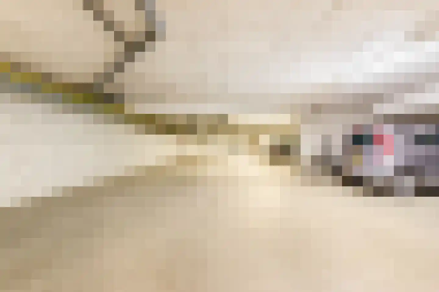 De Sanderij 114 Schoorl thumbnail 43
