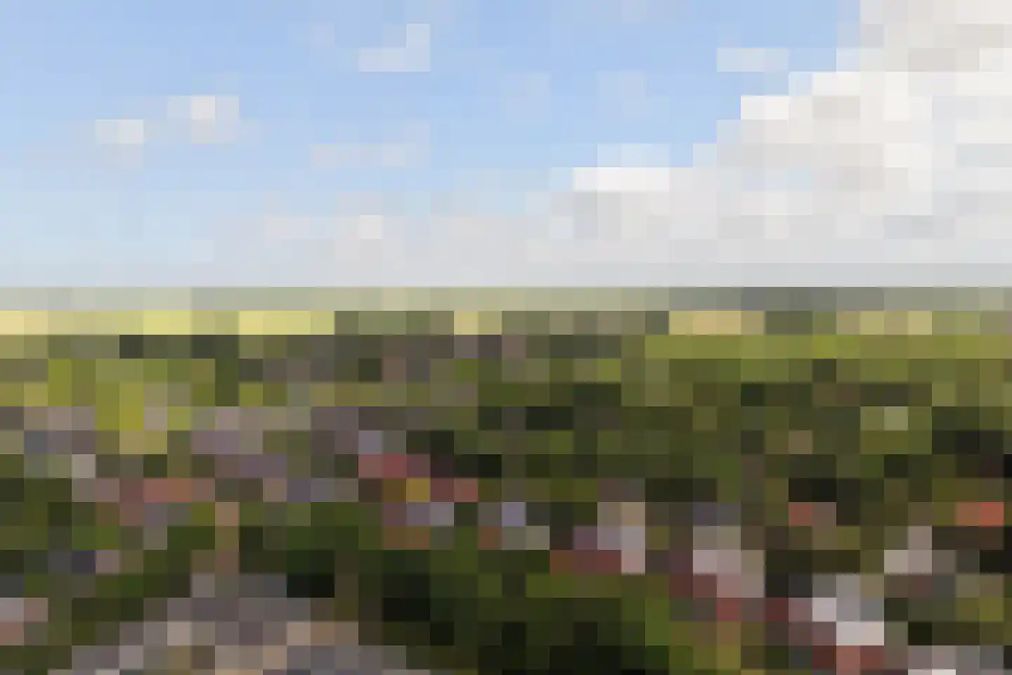 De Sanderij 114 Schoorl thumbnail 45