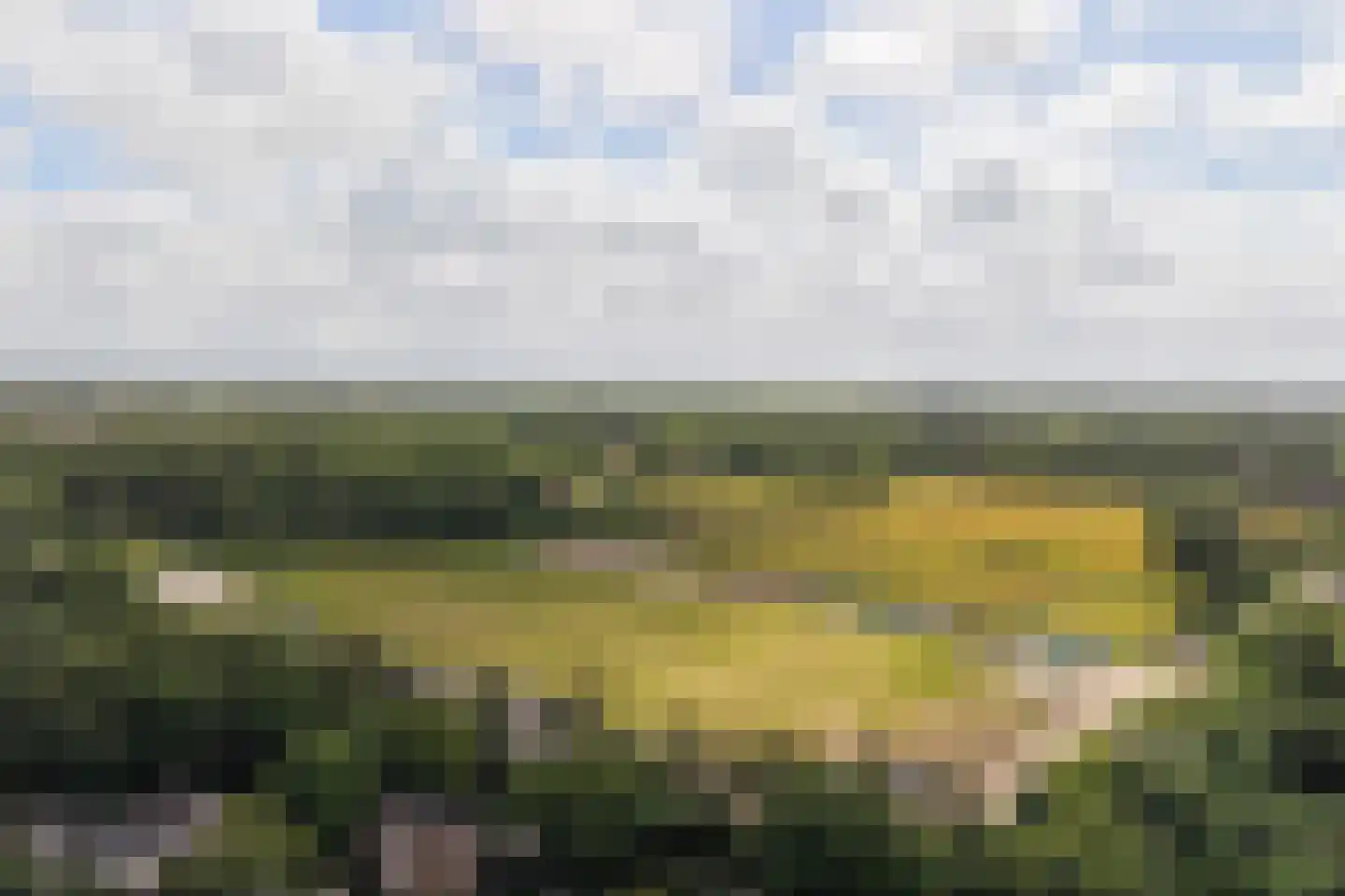 De Sanderij 114 Schoorl thumbnail 46