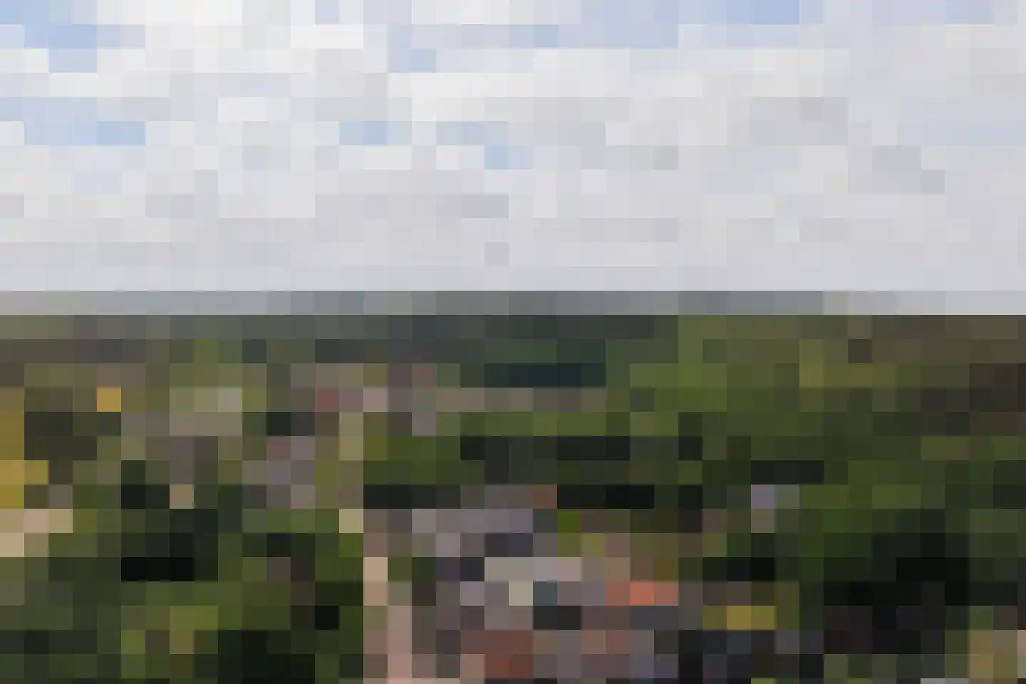 De Sanderij 114 Schoorl thumbnail 47