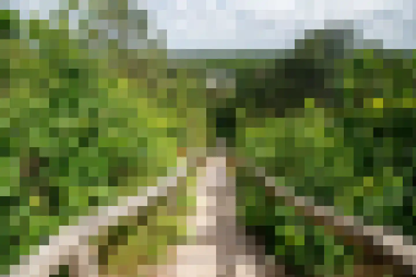 De Sanderij 114 Schoorl thumbnail 49