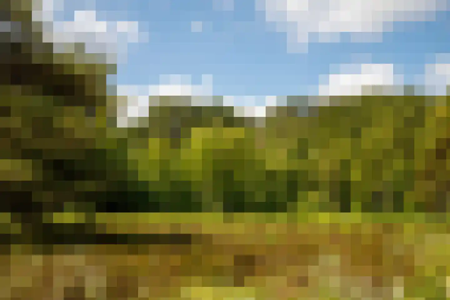 De Sanderij 114 Schoorl thumbnail 50