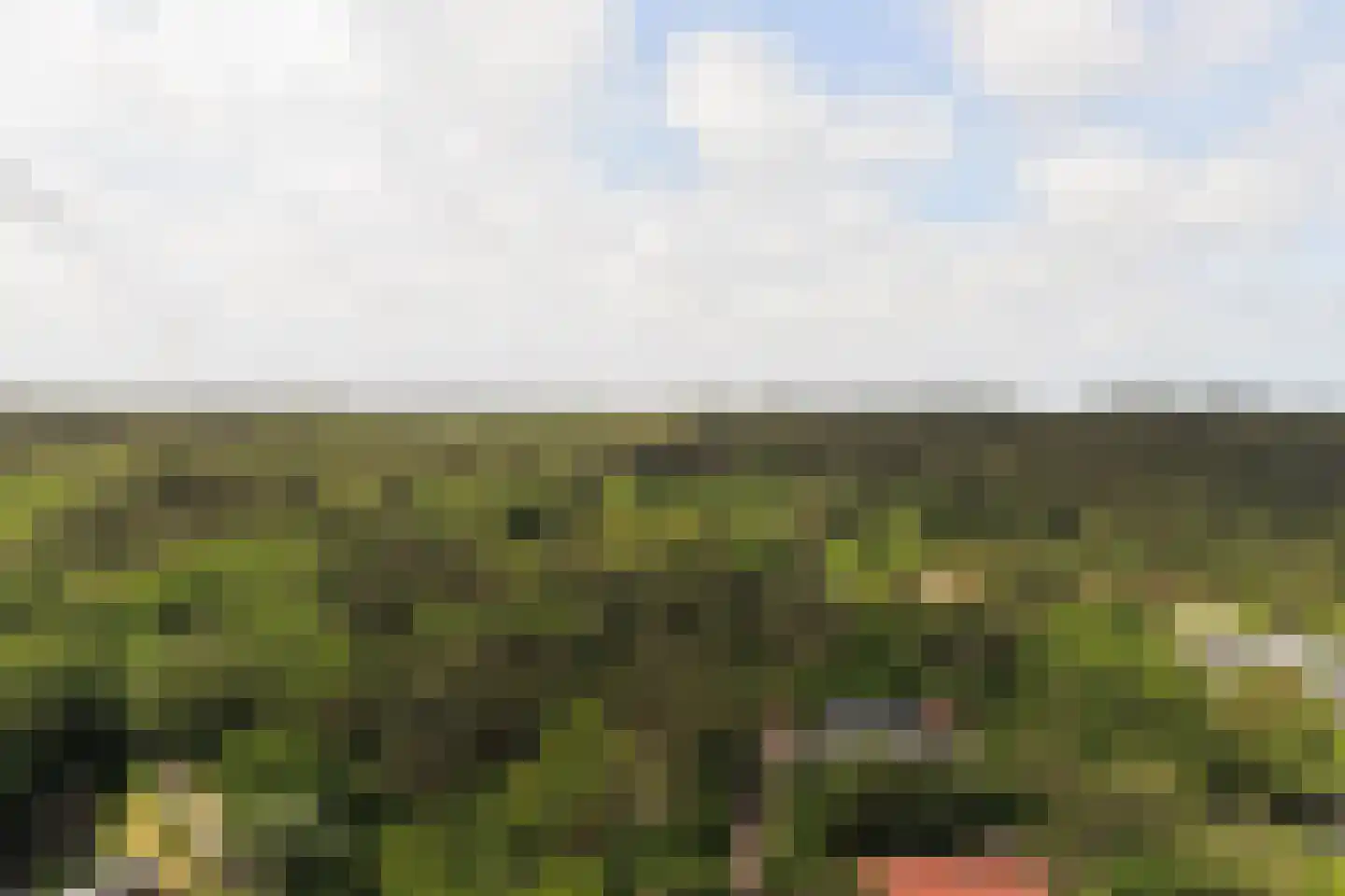 De Sanderij 114 Schoorl thumbnail 51