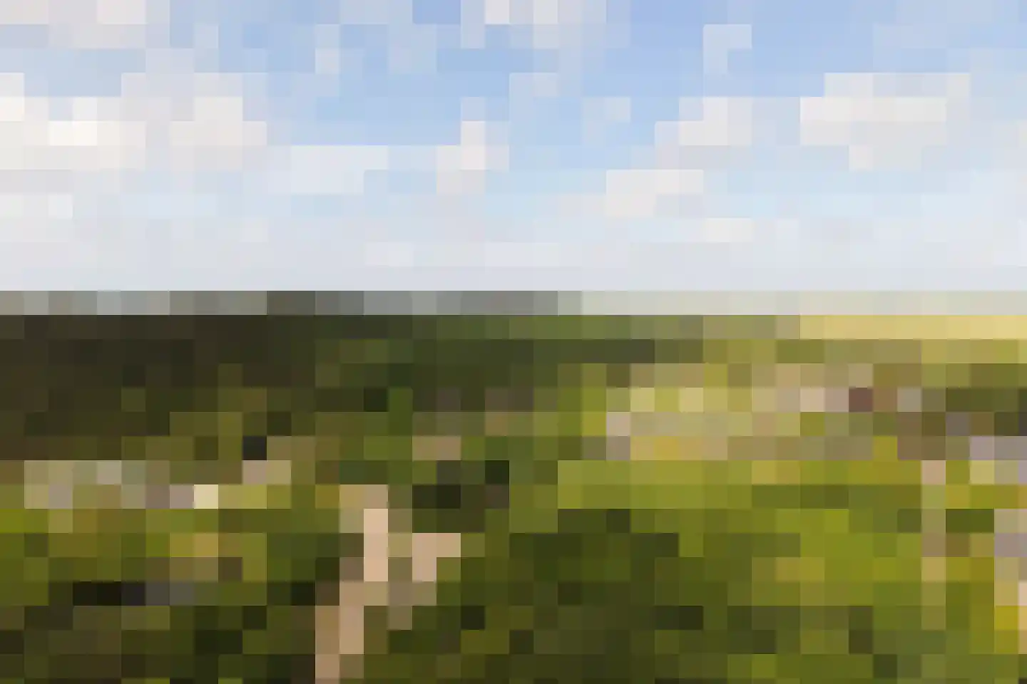 De Sanderij 114 Schoorl thumbnail 52