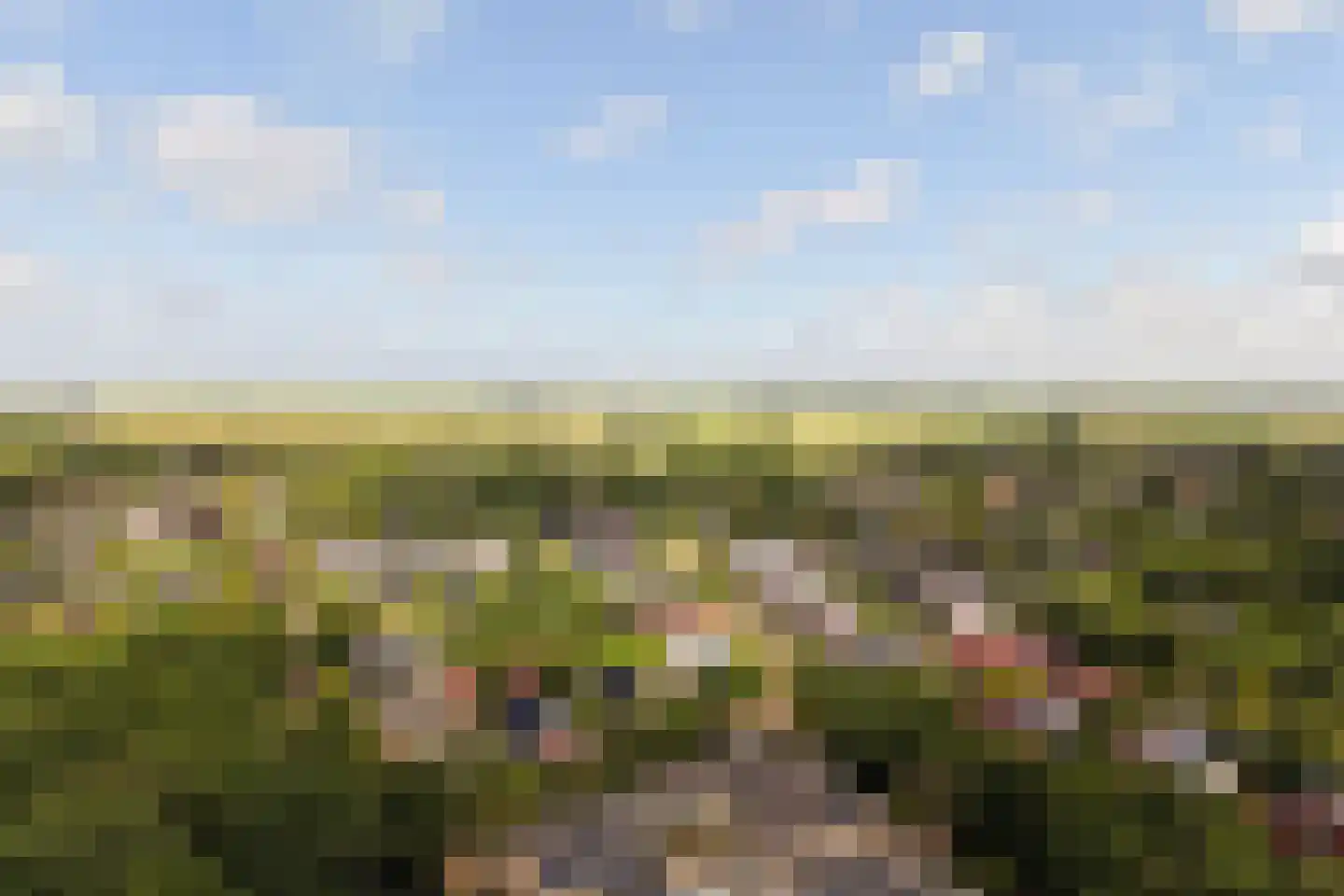 De Sanderij 114 Schoorl thumbnail 53