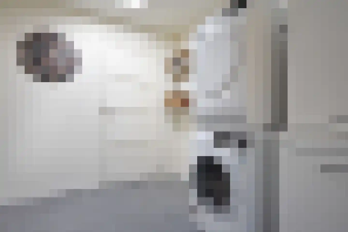 De Sânnen 35 Drogeham thumbnail 28