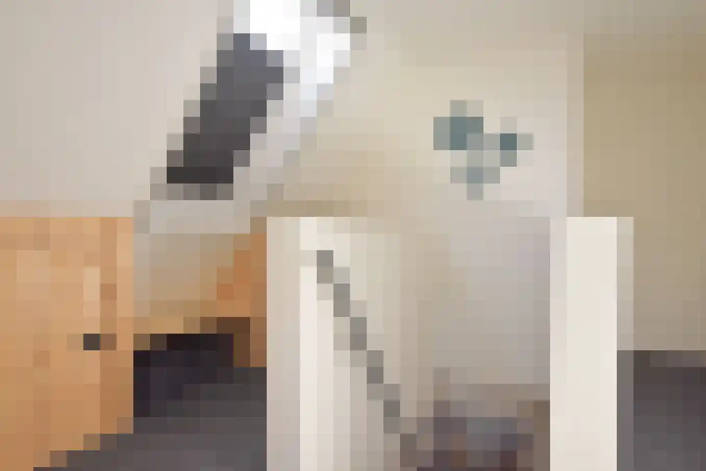 De Sânnen 35 Drogeham thumbnail 32