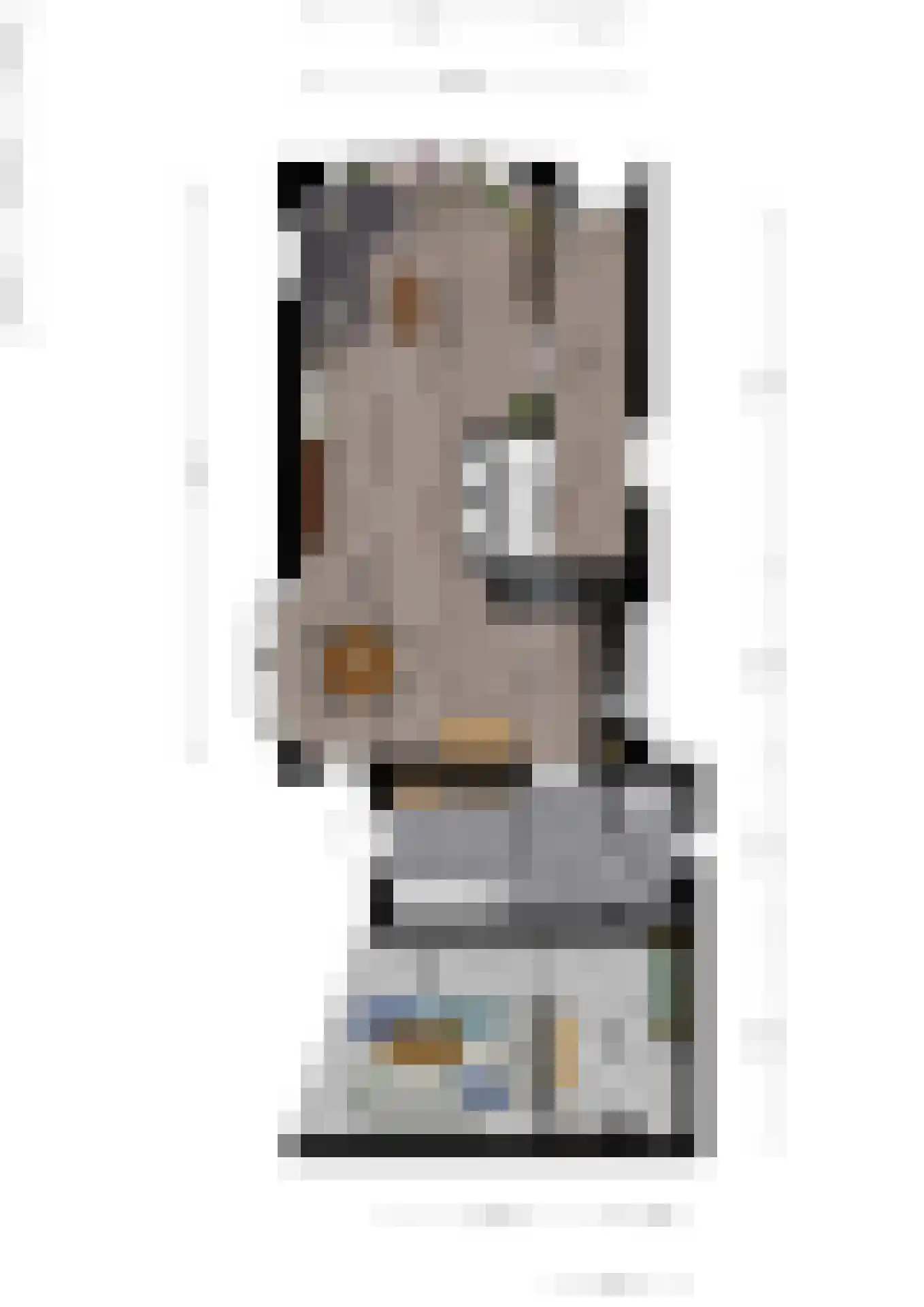 De Sânnen 35 Drogeham thumbnail 47