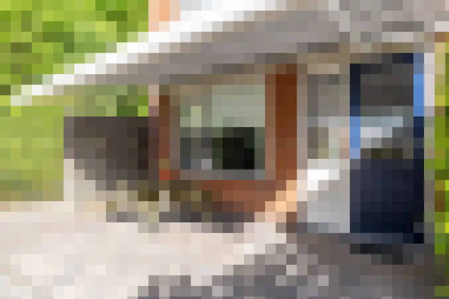 De Sanstraat 76 Groningen thumbnail 42