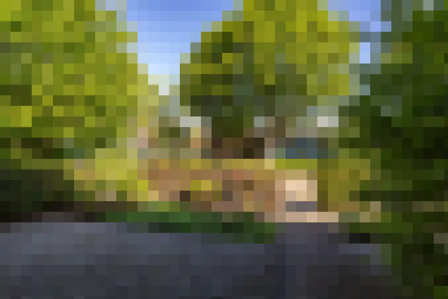 De Sanstraat 76 Groningen thumbnail 8