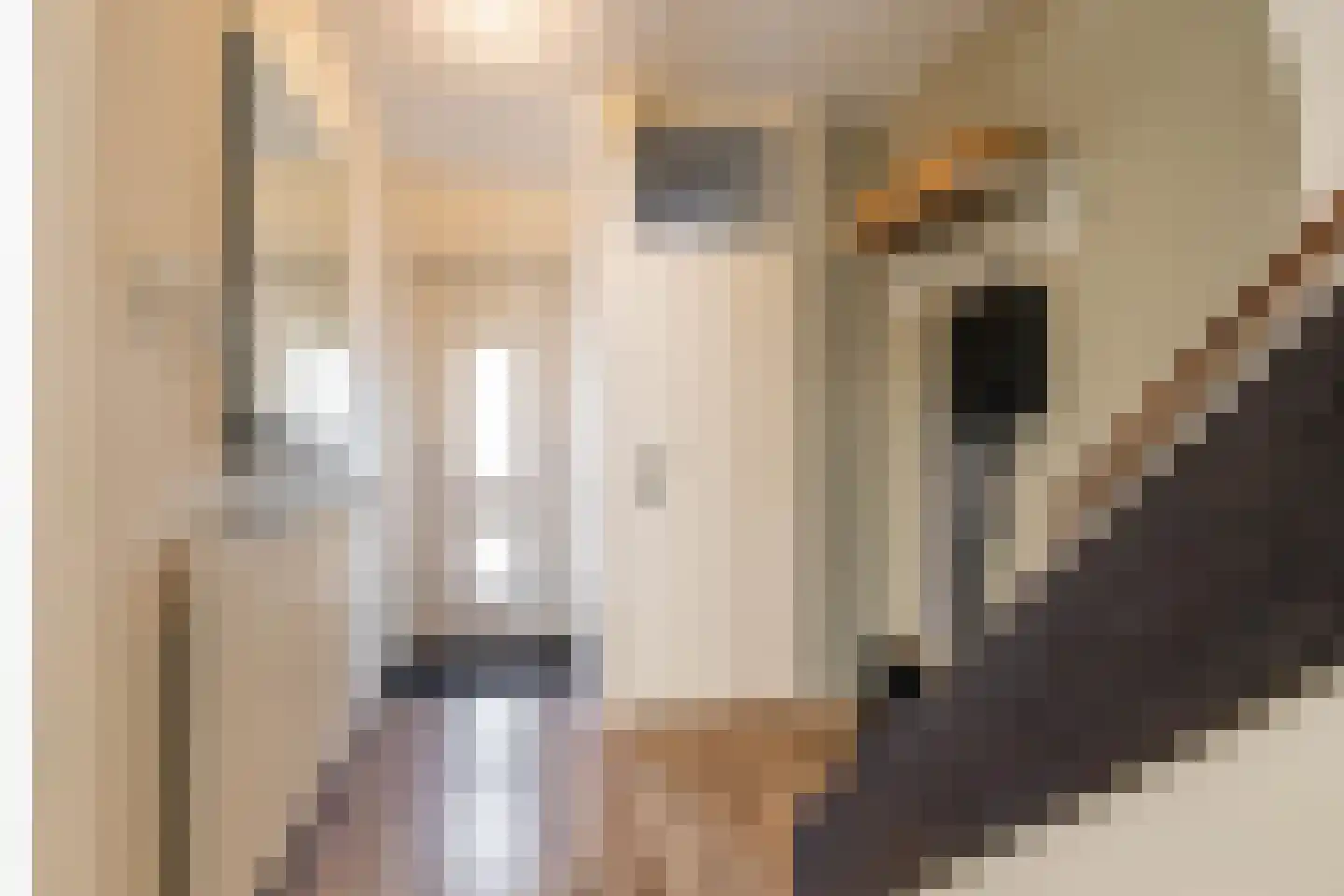 De Sanstraat 76 Groningen thumbnail 9