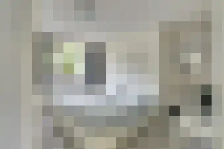 De Santbrincke 32 Fluitenberg thumbnail 13