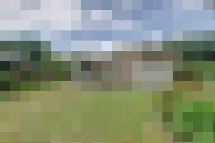 De Santbrincke 32 Fluitenberg thumbnail 21