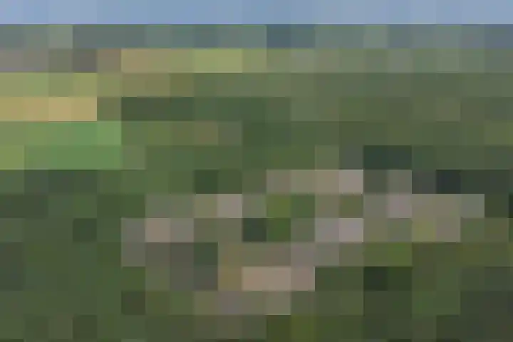 De Santbrincke 32 Fluitenberg thumbnail 26