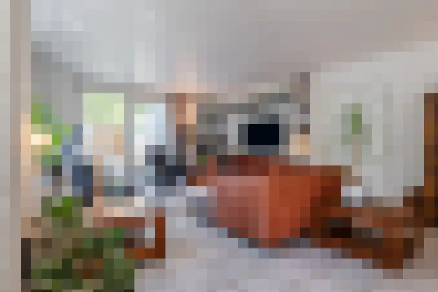 De Santbrincke 46 Fluitenberg thumbnail 13