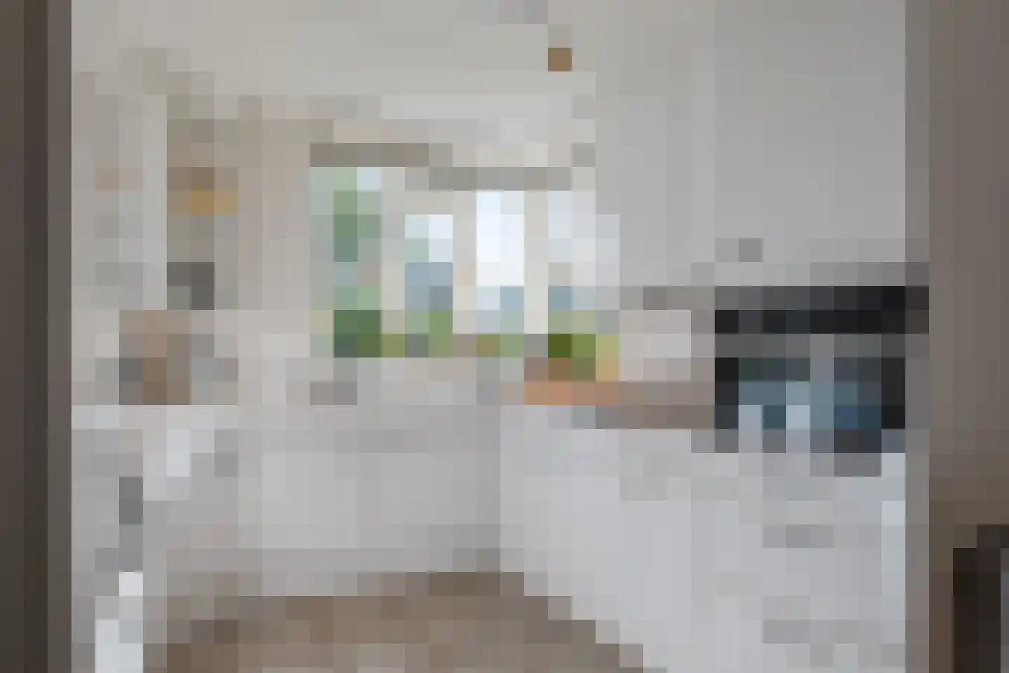 De Santbrincke 46 Fluitenberg thumbnail 21