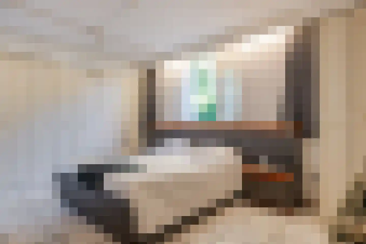 De Santbrincke 46 Fluitenberg thumbnail 26