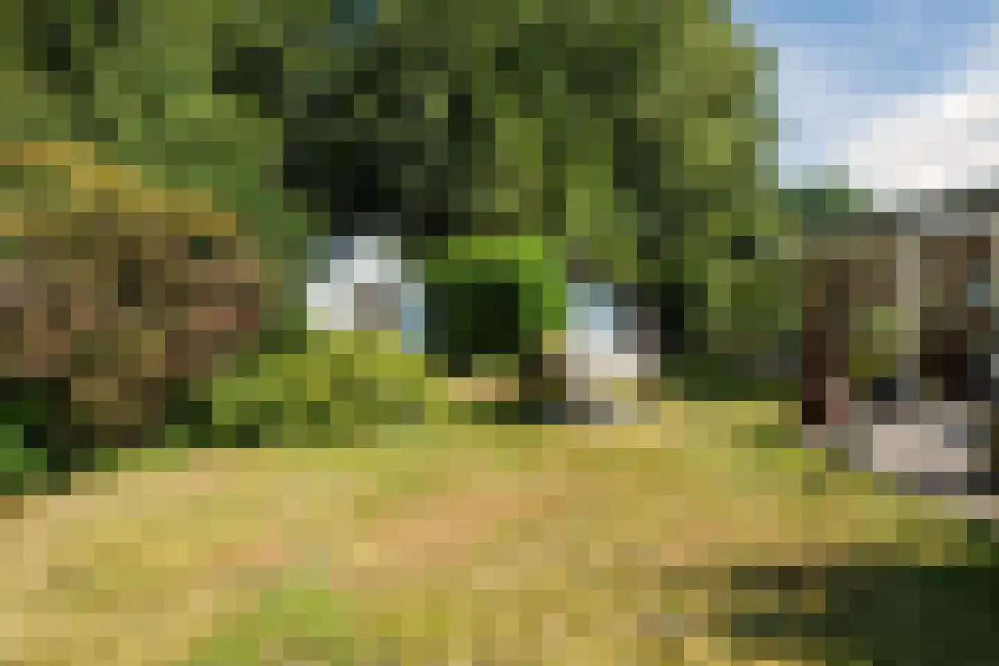 De Santbrincke 46 Fluitenberg thumbnail 47