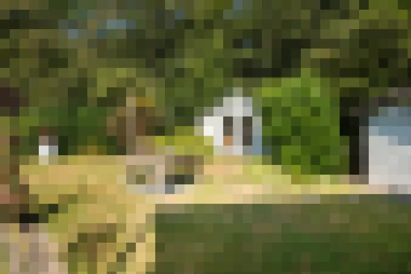 De Santbrincke 46 Fluitenberg thumbnail 48