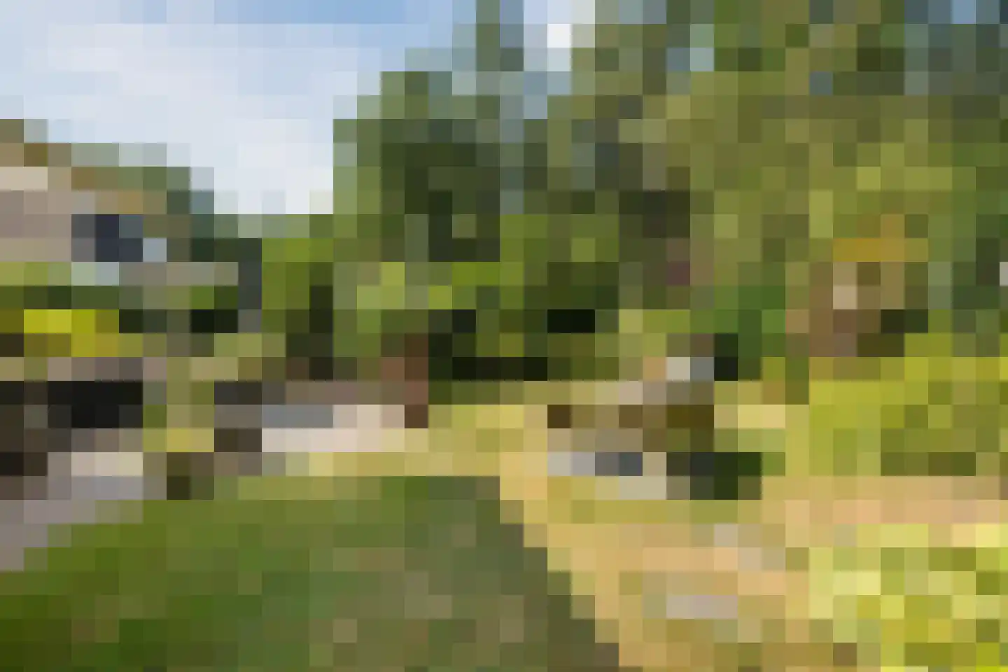 De Santbrincke 46 Fluitenberg thumbnail 49