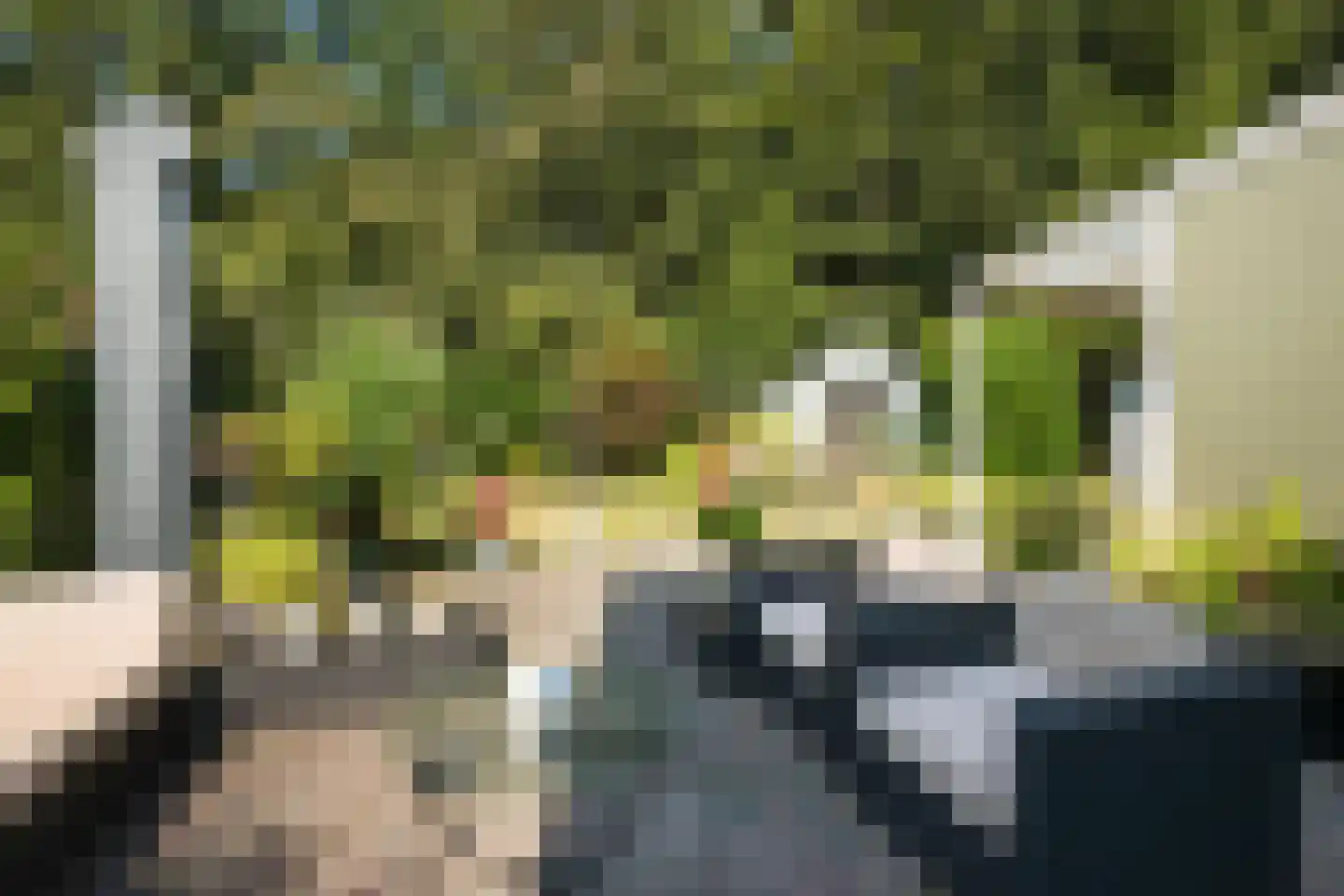 De Santbrincke 46 Fluitenberg thumbnail 54