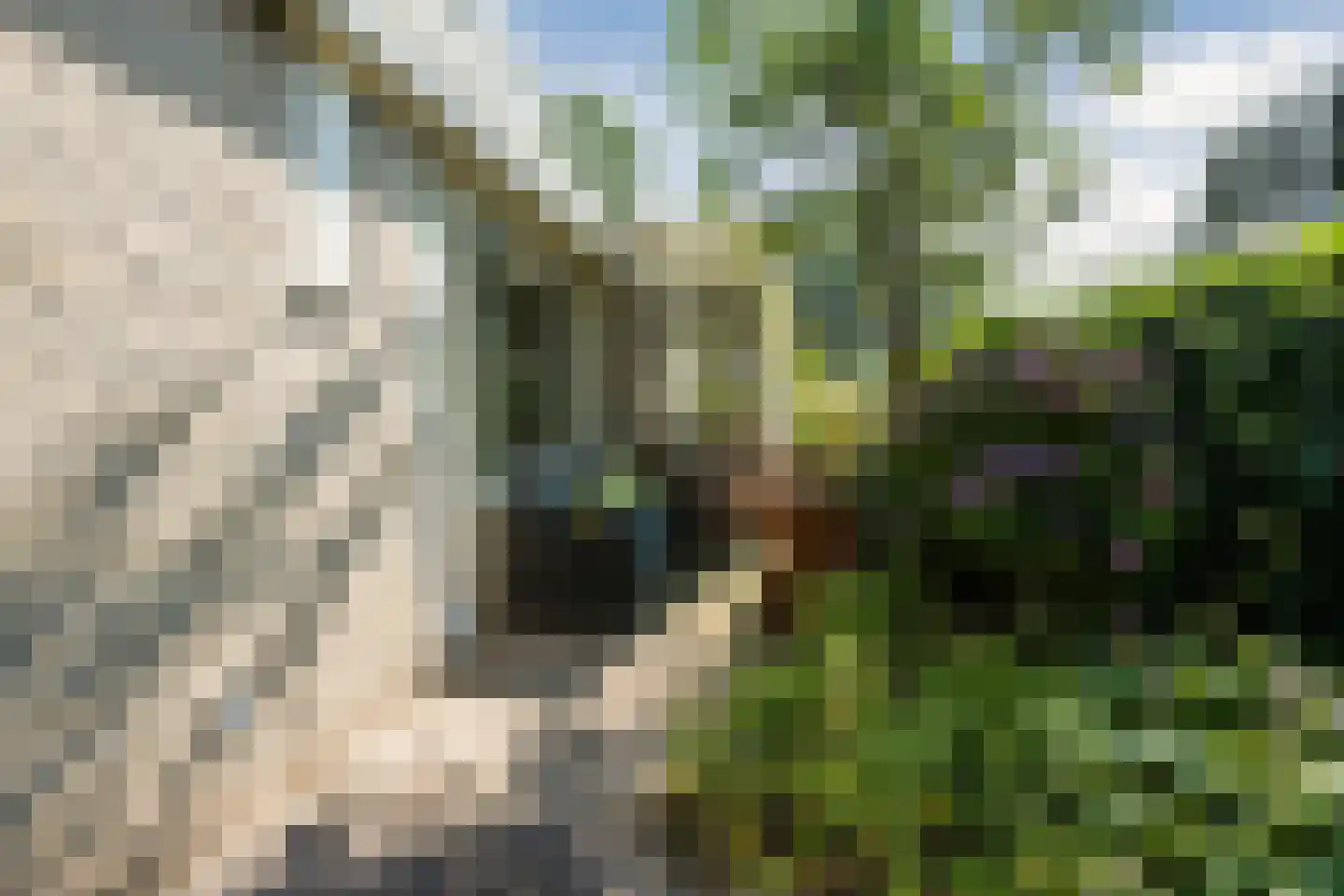 De Santbrincke 46 Fluitenberg thumbnail 55